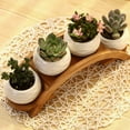 thumbnail image 3 of 4 Pack Ceramic White Succulent Plant Pot with Bamboo Arched Tray, Mini Cactus Planter Flower Pot for Garden Kitchen Home Office Desk Decorations (No Plants Included), 3 of 7