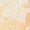 Beige, variant on Wovix Women's Lace Panties High Waisted Soft High Waist See Through Hipster Underwear Daily Beige L