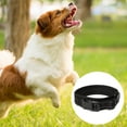 thumbnail image 3 of Collar para perros de nailon reflectante con acolchado de neopreno transpirable, ajustable, 3 of 5