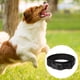 thumbnail image 3 of Collar para perros de nailon reflectante con acolchado de neopreno transpirable, ajustable., 3 of 5