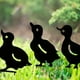 thumbnail image 5 of Decoración de jardín de metal, Pato Patio Arte Jardín Estatuas de metal Decoración de jardín Decoración de césped Camino Acera Jardín Estilo retro europeo (4 piezas) (Negro, Pato), Kuyhfg Bienvenido a Kuyhfg, 5 of 5