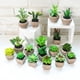 thumbnail image 5 of Uds mini simulación suculentas bonsái adornos creativos plantas artificiales pequeñas macetas redondas, 5 of 5