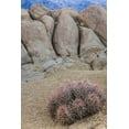 thumbnail image 2 of Paulson, Don 11x14 Black Ornate Wood Framed with Double Matting Museum Art Print Titled - CA, Alabama Hills Barrel cactus and boulders, 2 of 4