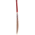 thumbnail image 4 of Smart & Sharp Plus 5000 Cricket Bat, Kashmir Willow, Full Size, Red Handle with Cover, 4 of 5