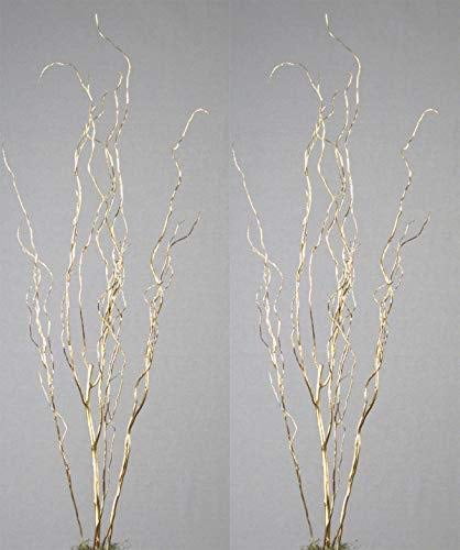 Curly Willow Branches (Pack of 10 Stems), 3-4' - Gold