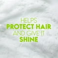 thumbnail image 3 of Head and Shoulders 2 in 1 Dandruff Shampoo and Conditioner, Green Apple. (Pack of 10), 3 of 6