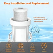 Coconut Shell CTO, Membrane Solutions Carbon Block Drinking Whole House Replacement Water Filter, 2.5 x 10, 5 Micron, 20 Pack