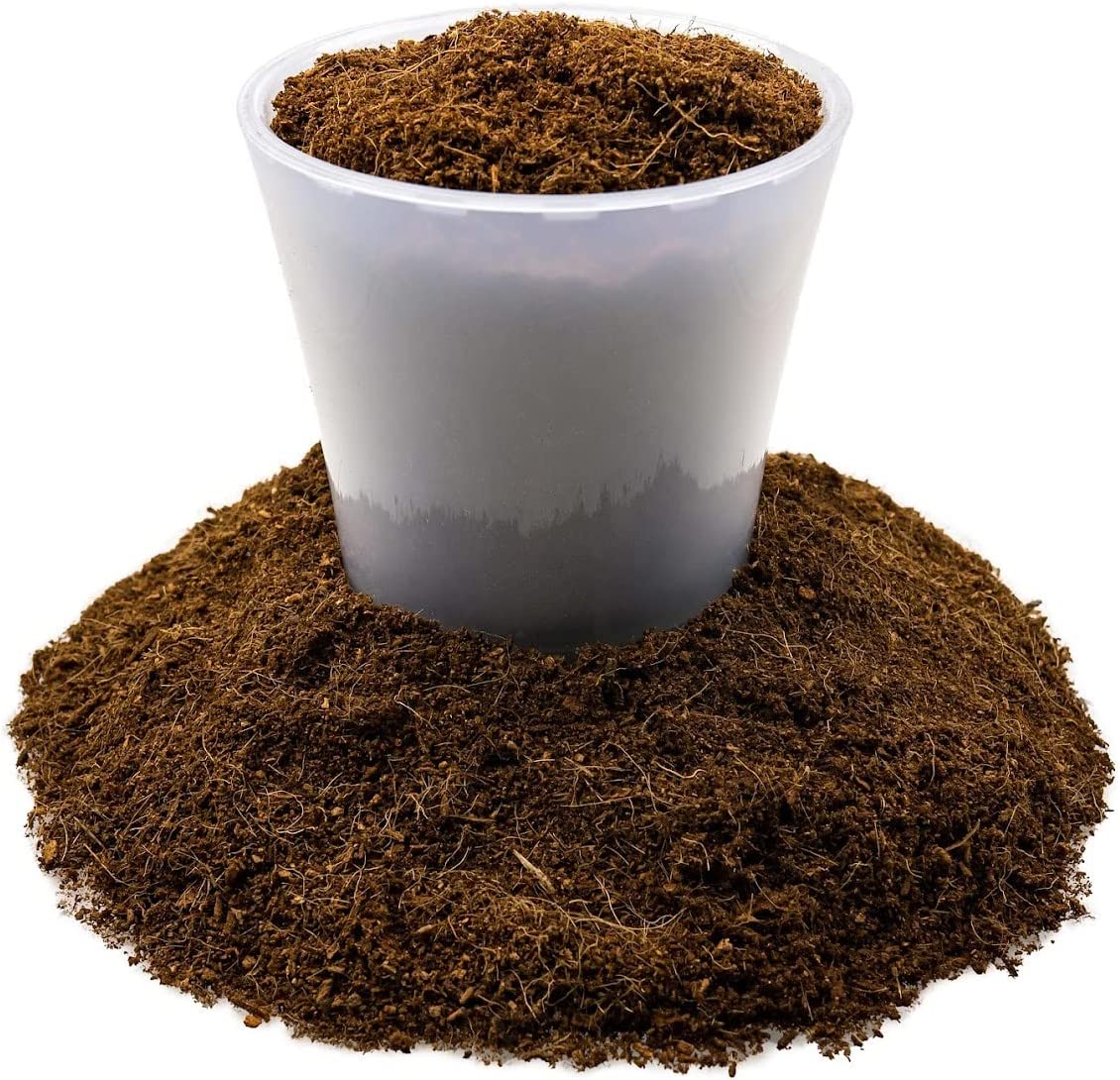 ⭐ PREMIUM Organic Coconut Coir Mix for Home Gardening - All Natural Soil Amendment - PH Balanced and Double Washed Coco Coir by ://N ★ LOVA - 2 Quart Bag - image 4 of 4