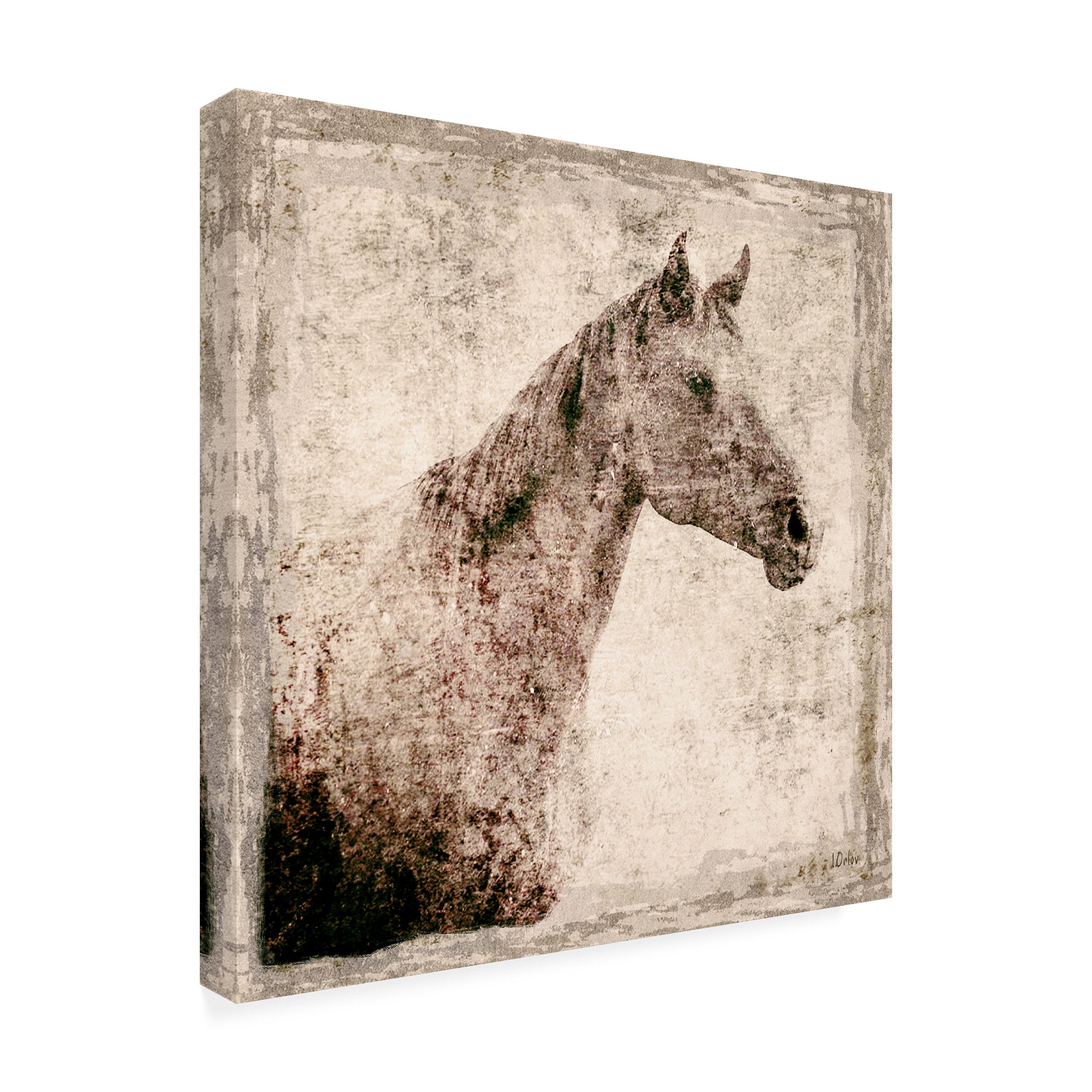Trademark Fine Art 'White Horse I Illustration' Canvas Art by Irena Orlov