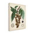 thumbnail image 2 of Vision Studio 'Antique Foliage and Fruit III' Canvas Art, 2 of 3
