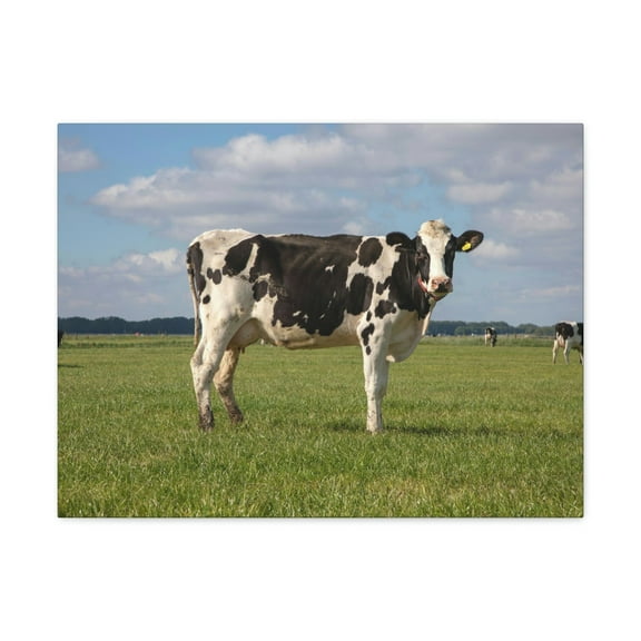 Majestic Cow Art Majestic Cow Print Animal Wall Art Wildlife Canvas Prints Wall Art Ready to Hang Unframed