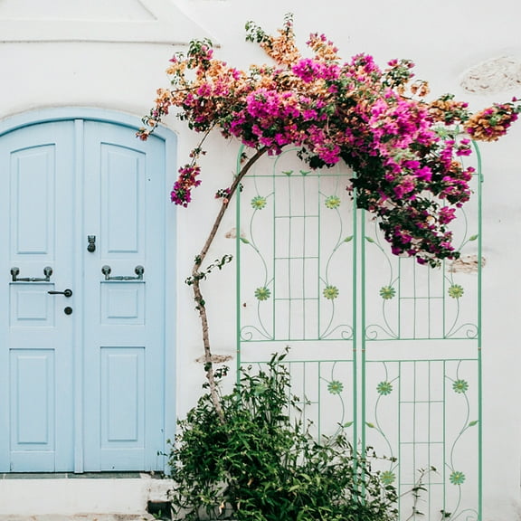 2 Pack Metal Garden Trellis 86.7" x 19.7" Rustproof Trellis for Climbing Plants Outdoor Flower Support Green