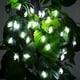 thumbnail image 3 of Cadena de luces de Halloween de 10 pies y 20 LED para decoraciones de Halloween para exteriores e interiores, 3 of 6