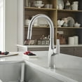 thumbnail image 5 of Rivana High-Arc Pull-Down Dual-Spray Kitchen Faucet - PVD Steel, 5 of 5