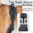 thumbnail image 4 of Dog Harness No Pull Pet Harness With 2 Leash Clips Adjustable Padded Dog Vest Dog Walking Harness No-Choke Pet Harness With 2 Metal Rings, 4 of 5