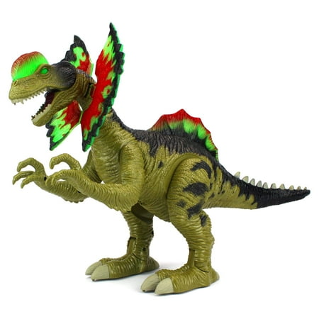 Cretaceous Dilophosaurus Battery Operated Walking Toy Dinosaur Figure w/ Realistic Movement, Lights and Sounds (Colors May Vary)