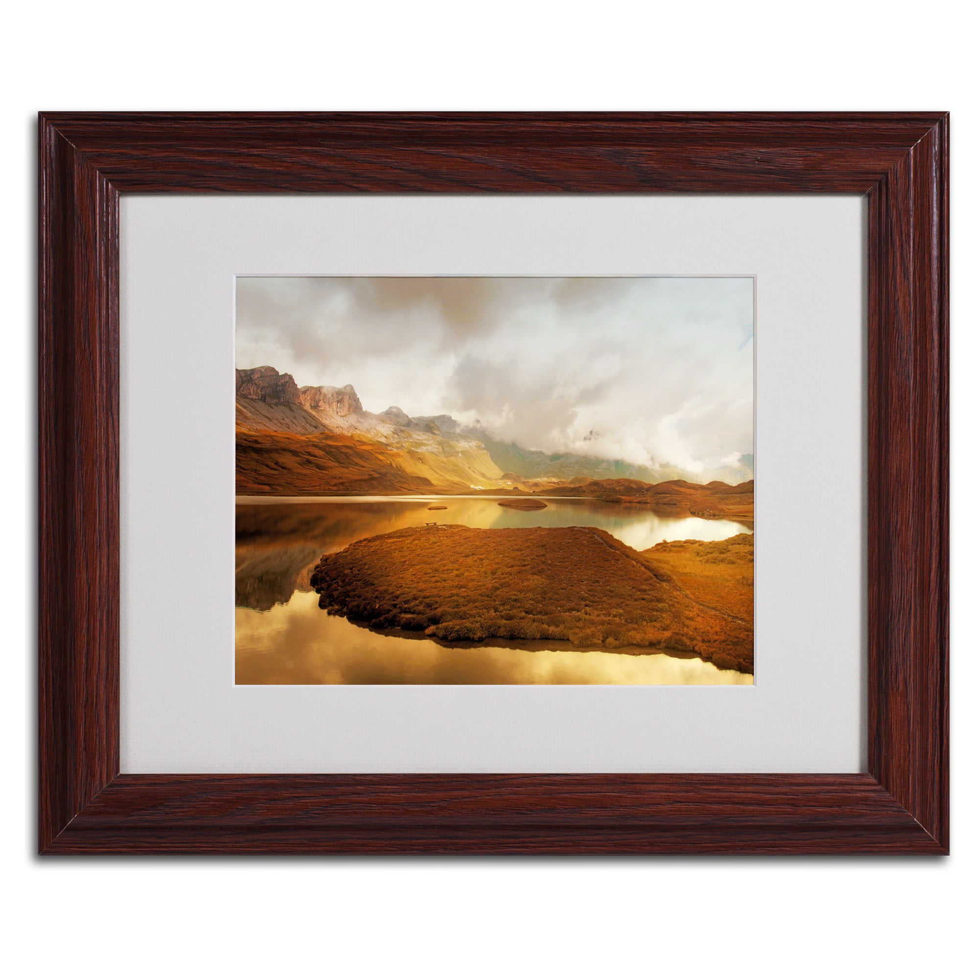 Trademark Fine Art "Shades of Gold" Canvas Art by Philippe Sainte-Laudy, Black Frame
