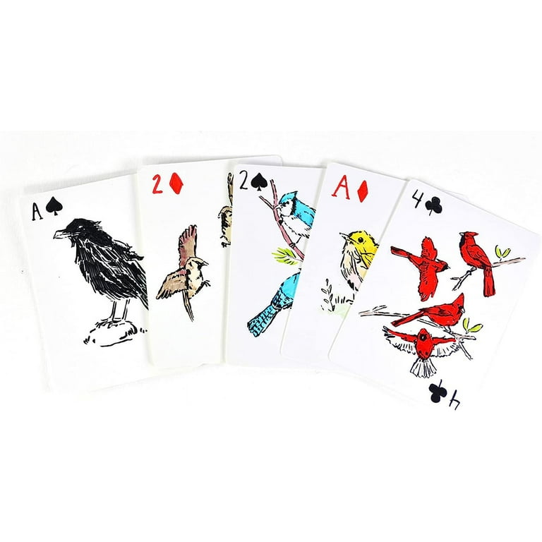 Apostrophe Games Blank Playing Cards (Matte Finish & Poker Size) 180 Cards