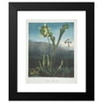 thumbnail image 2 of Robert John Thornton 15x18 Black Modern Framed Museum Art Print Titled - American Bog Plants. I Fetid Pothos. II Pitcher Plant. III Venus's Fly Trap. (1799-1807), 2 of 5