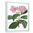thumbnail image 2 of Designart Vintage Plant Life XXIII FLOAT FRAME WALL ART, 2 of 4