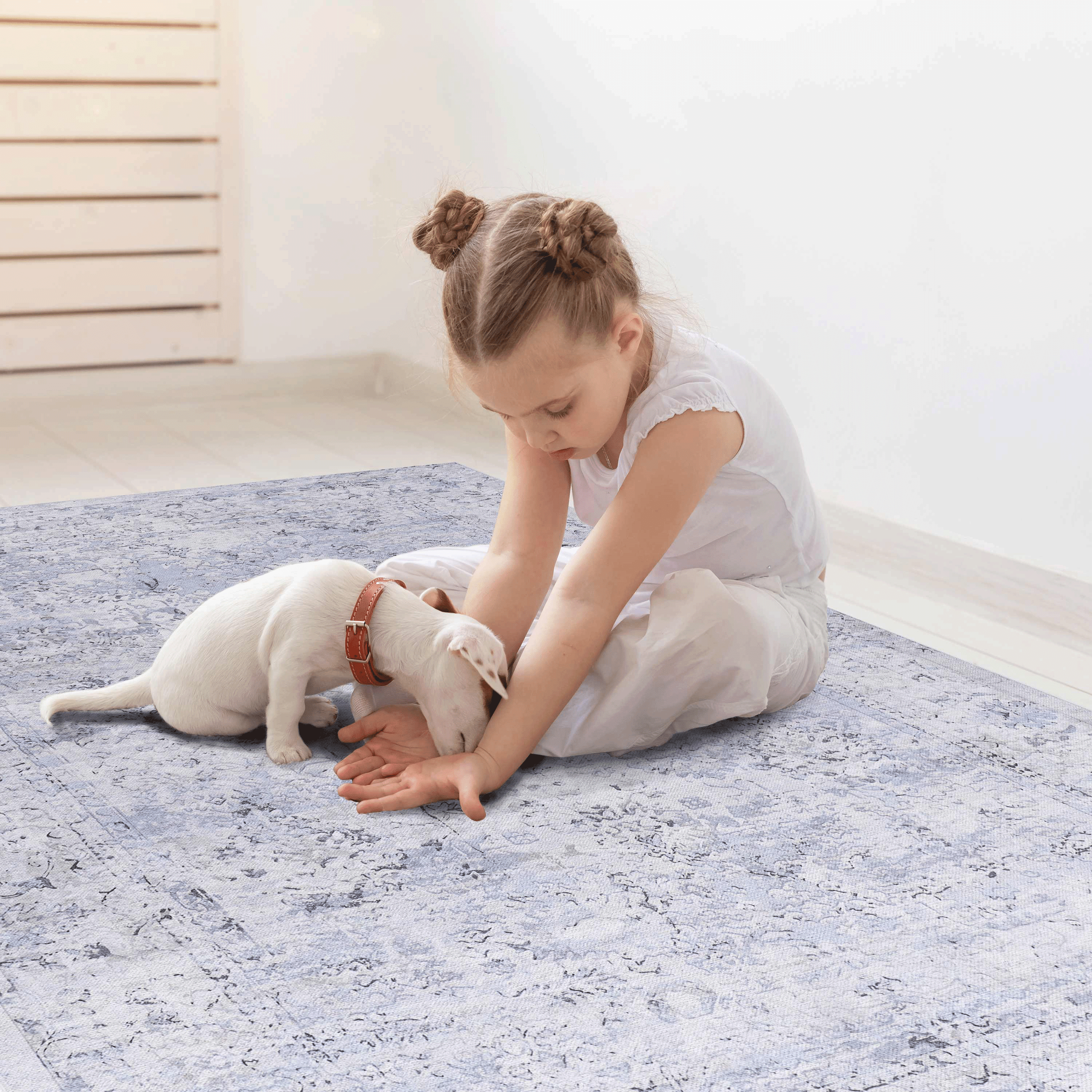 5x8 Area Rug Washable Low Pile Non Slip Non Shedding Foldable Kid Pet Friendly Blue Cream Rug for Living Room Bedroom Kitchen Dining Room Office Hallway Playroom