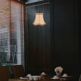 thumbnail image 2 of UPGRATOR 3PCS Hanging Lampshade Iron Clip On Light Shade Light Fixture Accessory, 2 of 5