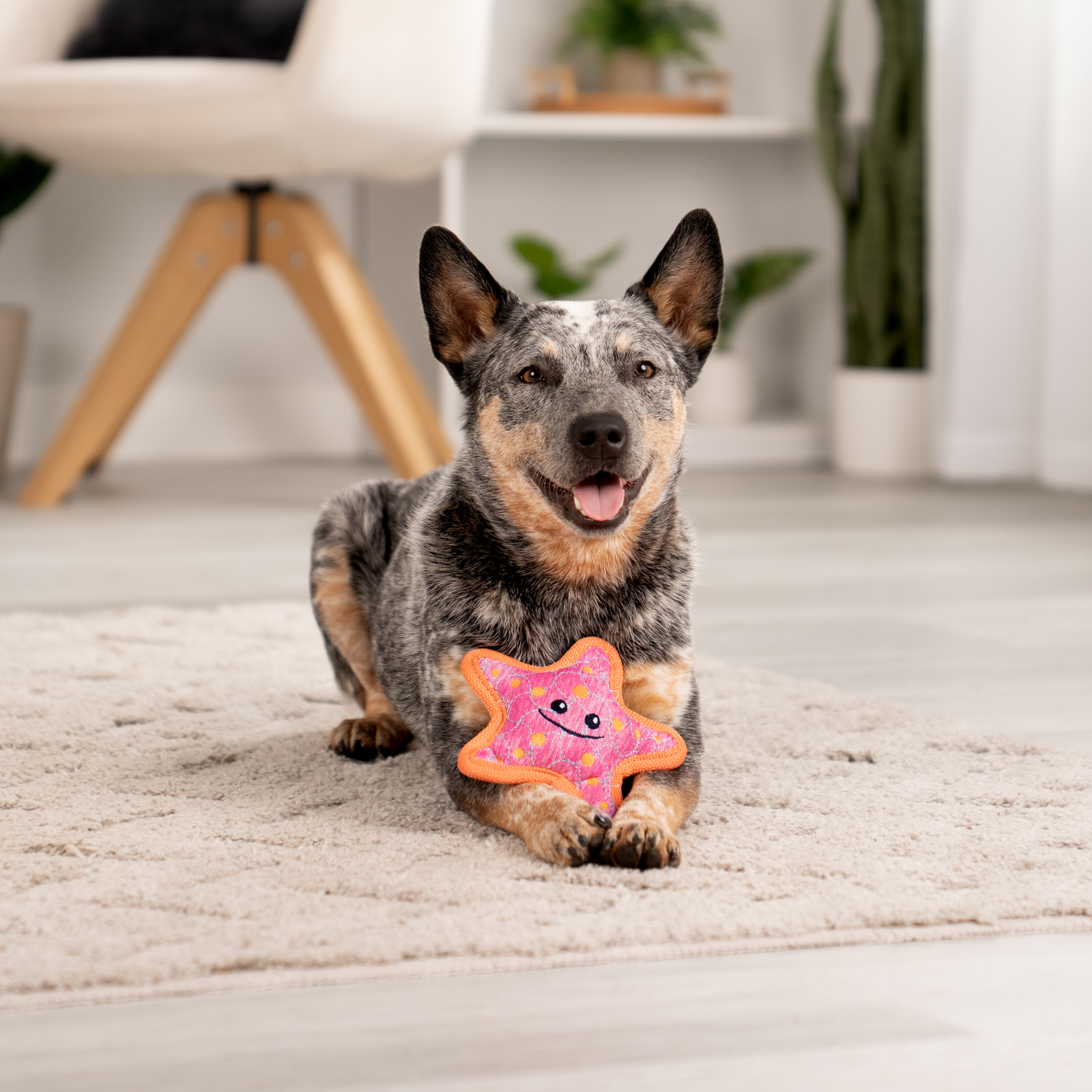 goDog Tough Guard Shelby Starfish Squeaky Dog Toy with Chew Guard Technology, Reinforced Seams for Stronger & Longer Play, Pink, Small