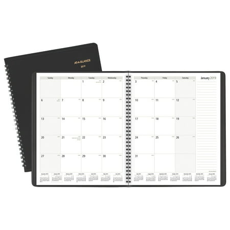 AT-A-GLANCE Notetaker Monthly Planner