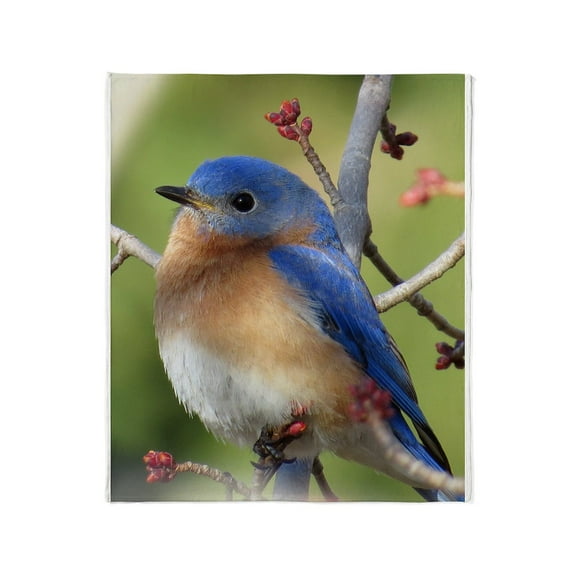 CafePress - Red Bud Bluebird Throw Blanket - Soft Fleece Throw Blanket, 50"x60" for All Ages