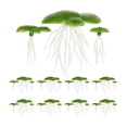 thumbnail image 1 of 90pcs Mini Fake Duckweed Artificial Floating Duckweed Aquarium Simulation Plants, 1 of 9