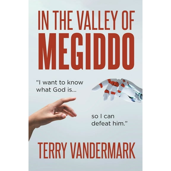 In The Valley Of Megiddo, (Paperback)