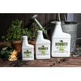 thumbnail image 4 of Protect Me 250ml, 4 of 4