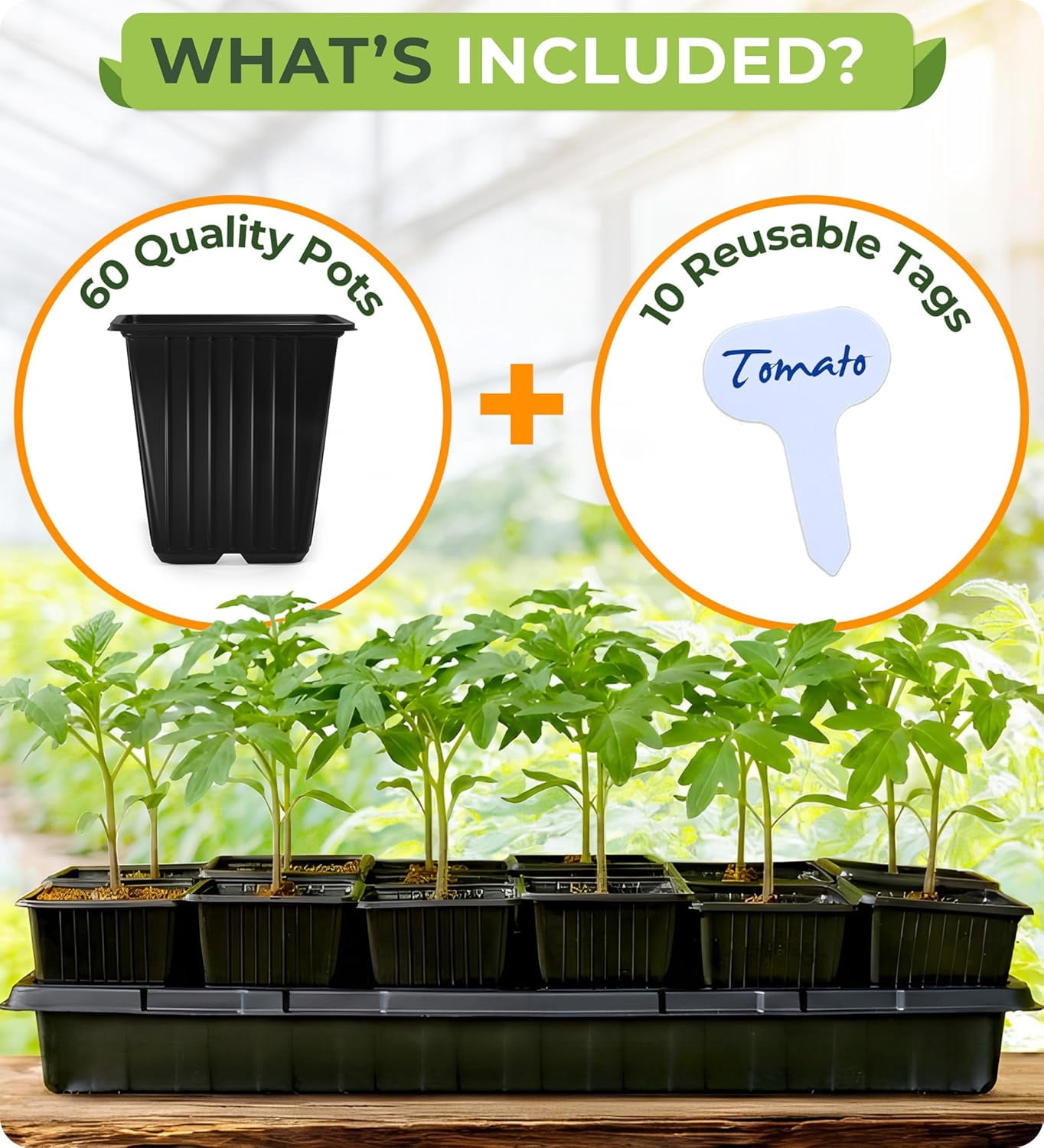 60Pack Square Nursery Pots - 3.5 Inch Seedling Plant Pot with Drainage Holes - 1020 Tray Optimized - Reusable Sturdy Seed Starter Pots for Flowers, Vegetables, Greens