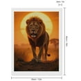 thumbnail image 2 of Diamond Art Kits for Adults, Lion Sunset Majestic Serengeti Scene 5D Diamond Painting Kits for Adults Beginners, DIY Full Drill Diamond Painting, Gem Art and Crafts 12x16, 2 of 7
