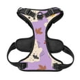 thumbnail image 5 of XMXY No Pull Dog Harness, Muertos Cute Halloween Creepy Adjustable Reflective Pet Harness with Oxford Vest, X-Large Size, 5 of 9