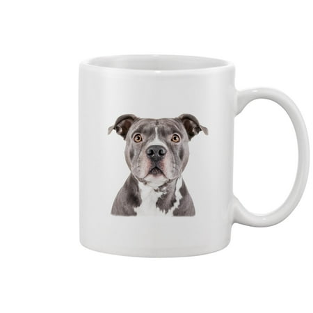 

Blue Staffordshire Terrier Mug -Image by Shutterstock