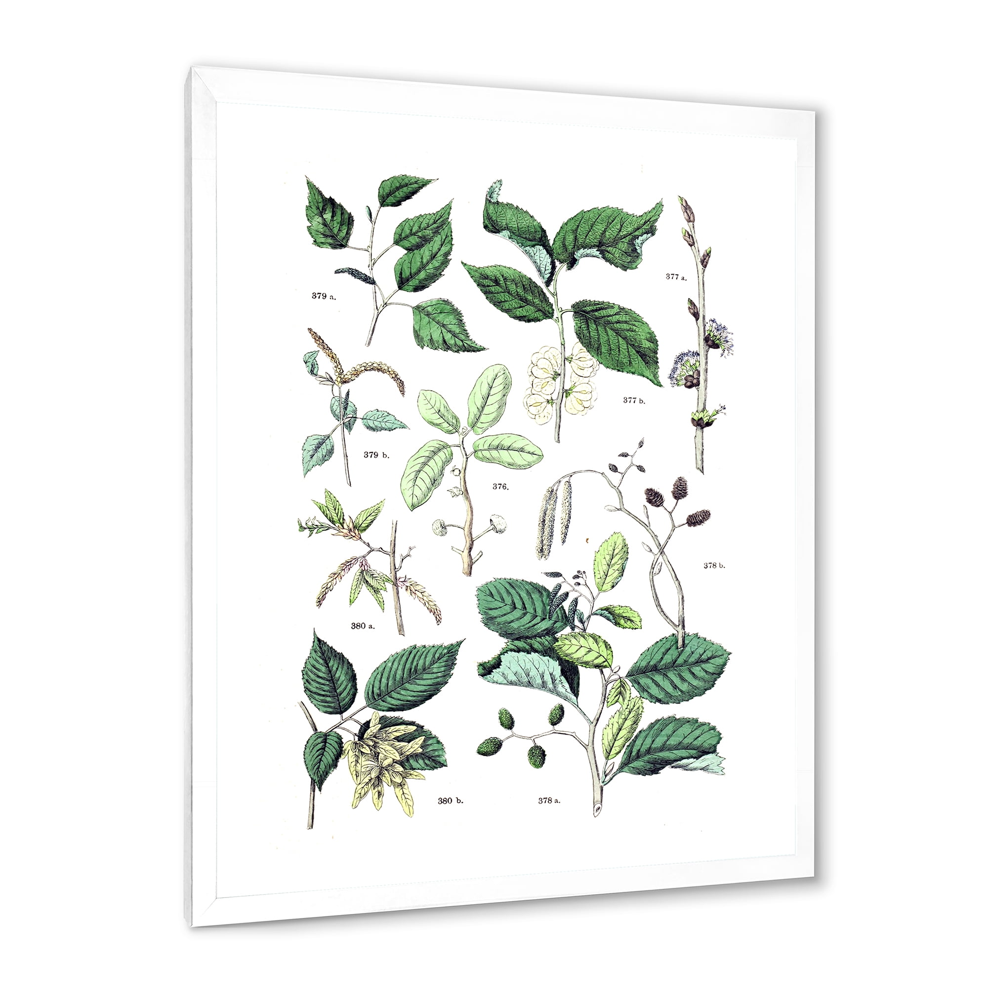 Designart 'Ancient Botanicals VIII' Traditional Framed Art Print
