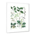 thumbnail image 2 of Designart 'Ancient Botanicals VIII' Traditional Framed Art Print, 2 of 4