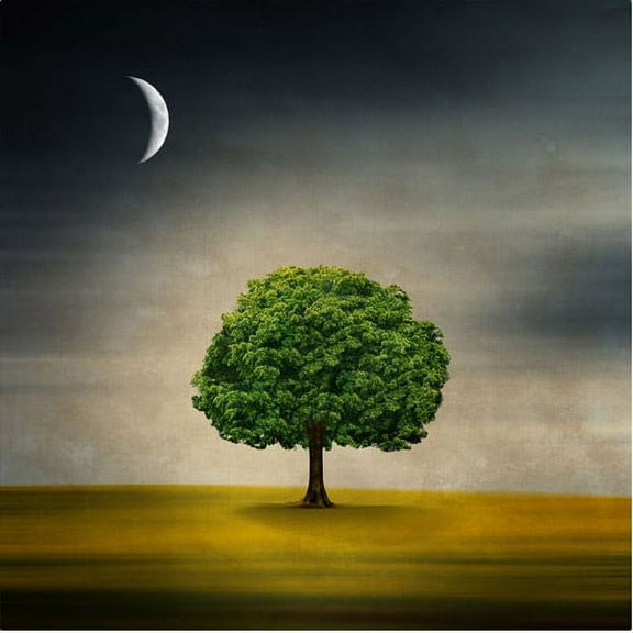 Trademark Fine Art "Under the Moon" Canvas Art by Philippe Sainte-Laudy