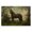Majestic Forest Horse Portrait, variant on Stupell Industries French Country Chocolate Stag Saddled in Pasture Canvas Art, 24 x 16, by Petals Prints Design
