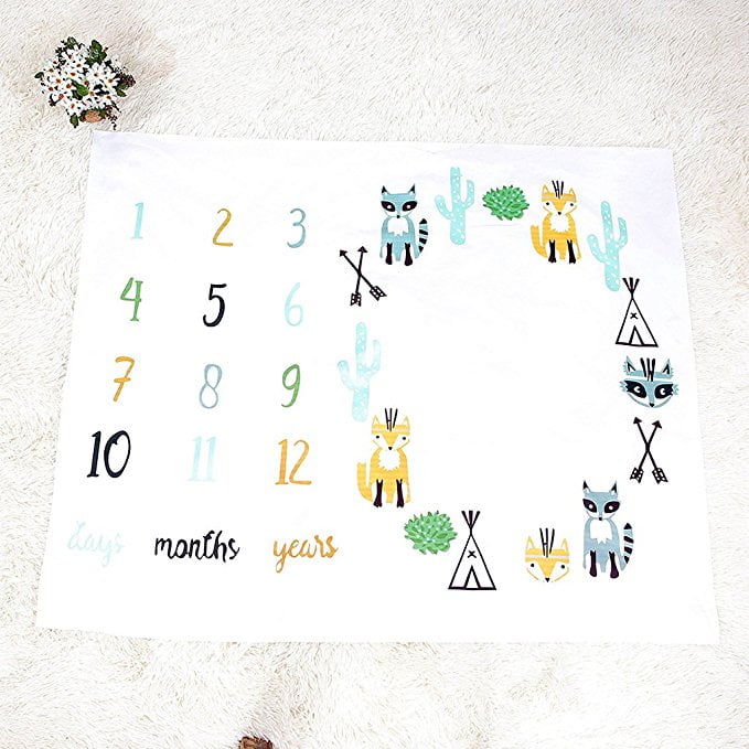 Cactus discount milestone blanket