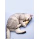 thumbnail image 1 of 1pc Plush Simulation Fish Pet Cat Toy For Interactive Play, 1 of 3