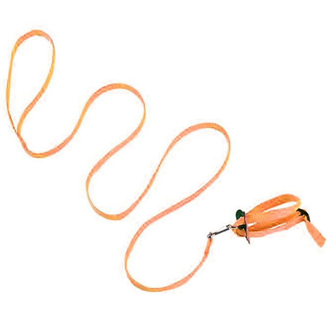 Leash for birds parrots adjustable anti-bite multicolored light soft