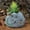 Grey, variant on Pet Dog Monument Creatives Planter Resin Simulation Memorial Planter
