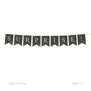 Surprise! Vintage Chalkboard Pennant Party Banner