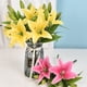 thumbnail image 3 of Xiao Hua Juego de 5 flores de lirio artificiales con un toque realista, ideal para bodas, fiestas, jardines y decoración de oficinas. Flores de lirio artificiales, color rosa claro., 3 of 5