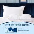 thumbnail image 2 of AQUZIN Feather Down Pillow King Size 2 Pack, Luxury Hotel Quality Bed Pillow, Medium Firm Support for Back, Stomach or Side Sleepers, 20x26in., 2 of 10