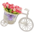 thumbnail image 4 of GOOHOCHY  for Living Room Bike Plant Storage Rack Artificial Flower Baby, 4 of 8