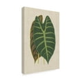 thumbnail image 2 of Trademark Fine Art 'Leaves on Linen III' Canvas Art by Unknown, 2 of 4