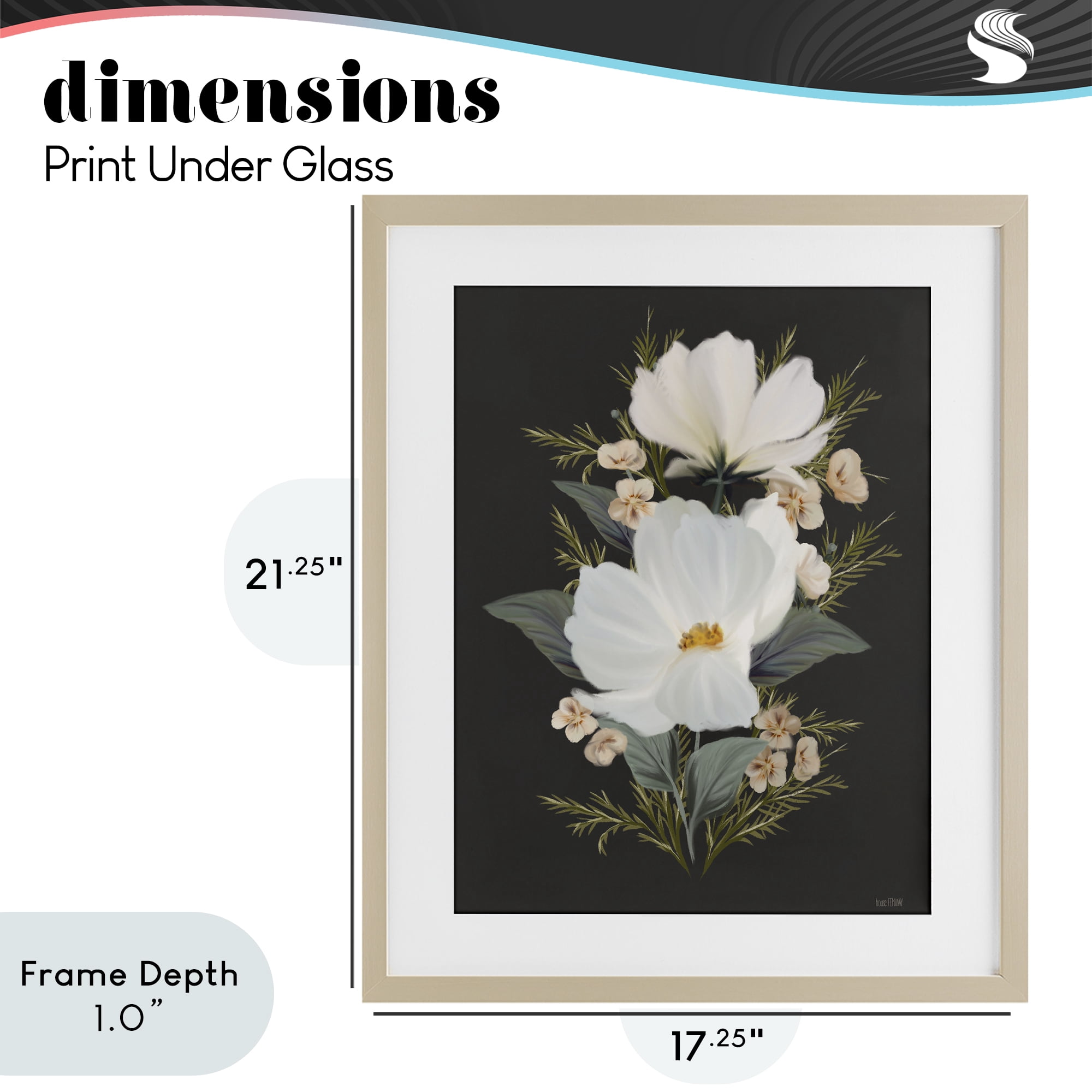 Stupell Industries Lace Cosmos Flowers Birch Framed Print Under Glass, design by House Fenway